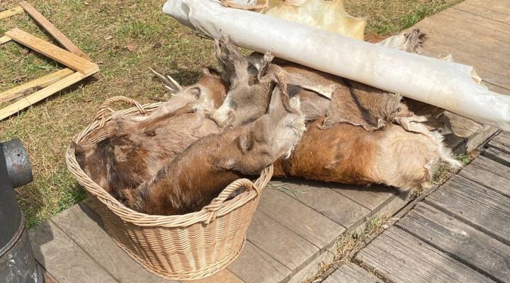 Leder gerben DIY Kurs - Wildnisschule Bayern - Jetzt anmelden
