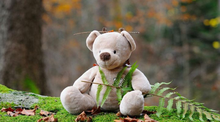 Wildnis Kindergeburtstag in Bayern