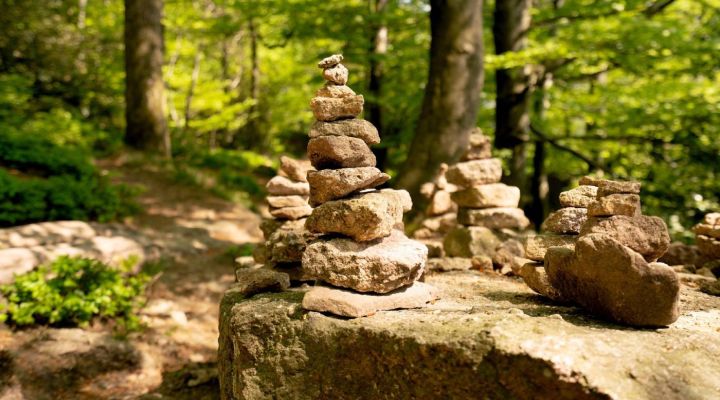 Wildniswiesel Camp für Kinder von 6 – 8 Jahren - Jetzt buchen