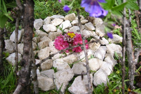 Kinderwildnisfreizeit Pfingsten