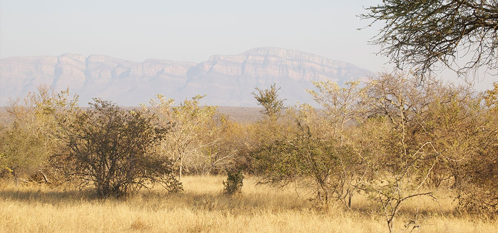 Naturwissen und Übergangsrituale der Zulus