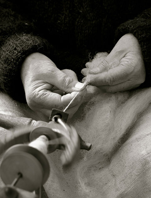 Naturfärben und Spinnen mit der Handspindel Kurs Naturfärben und Spinnen mit der Handspindel Kurs