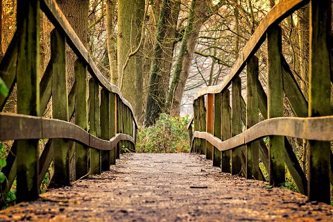 Gemeinschafts-Frauenvisionssuche Brücke