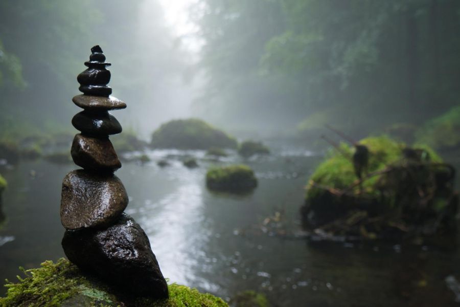 Natur Coaching - Wildnisschule Bayern - Jetzt anmelden