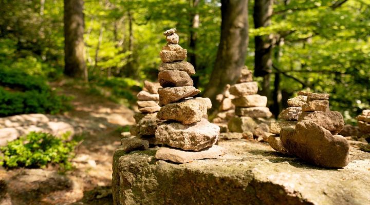 Wildniswiesel Camp für Kinder von 6 – 8 Jahren - Jetzt buchen