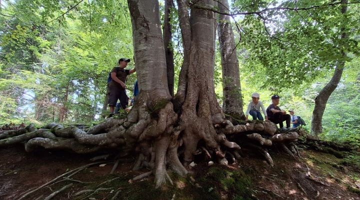 Wildnisschule Bayern - Wir-Kinder der Erde - Naturpädagogik Jahresbegleitung für Klassen in Bayern