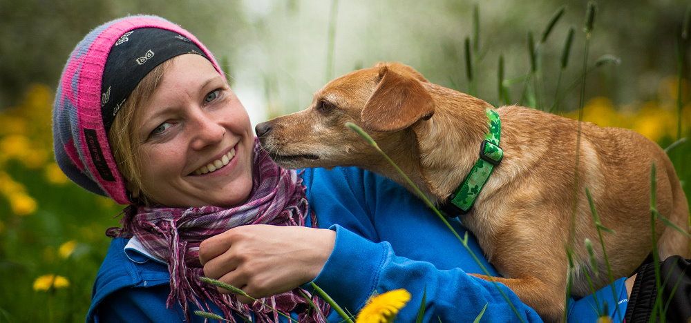 Tiergestützte Erlebnispädagogik: so funktioniert‘s