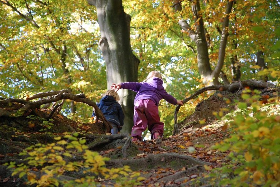 Circle Way Camp Kurs - Wildnisschule Bayern - Kinder spielen