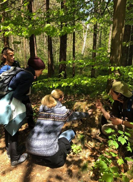 Wildnispädagogik Ausbildung Basis - Wildnis