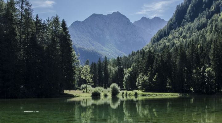 Selbstverständnis von Wir-Kinder der Erde