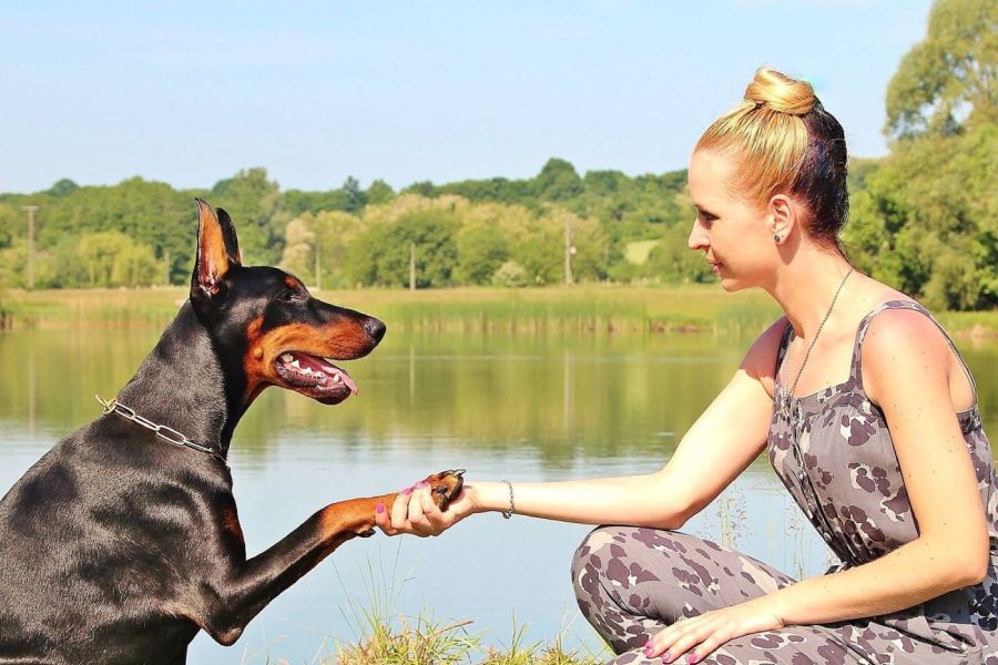 Bindungsfördernder Hundewanderung Kurs - zusammen sein
