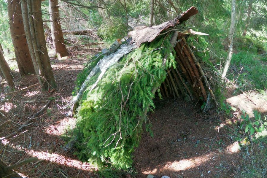 Wildnispädagogik Ausbildung Basis - Versteck selber bauen