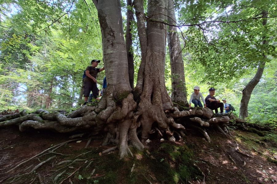 Wildnisschule Bayern - Wir-Kinder der Erde -  Naturpädagogik Jahresbegleitung für Klassen in Bayern 