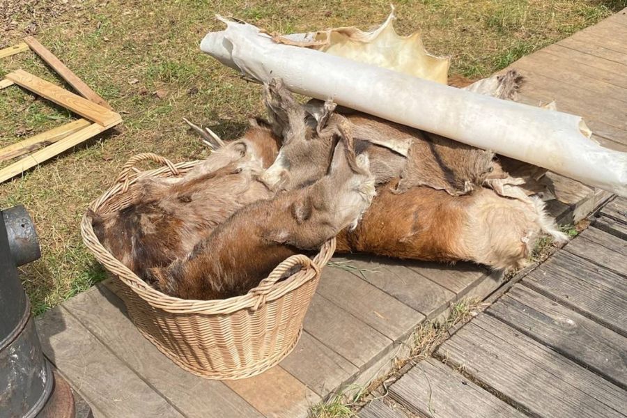 Leder gerben DIY Kurs - Wildnisschule Bayern - Jetzt anmelden