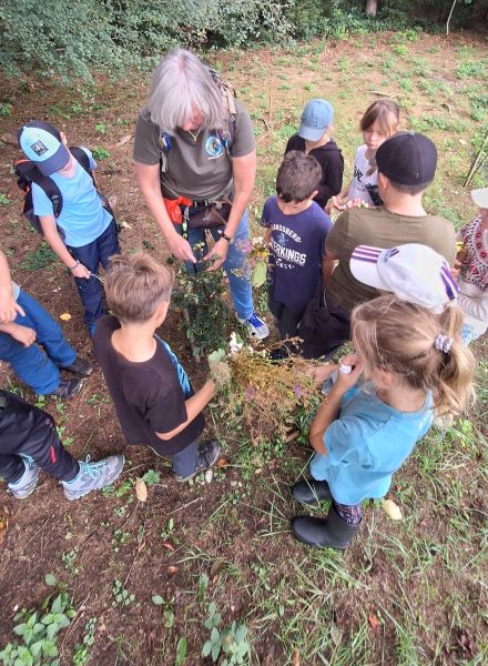 Naturpädagogik Klassenfahrt in Bayern - Wildnisschule Bayern - Kräuterkunde