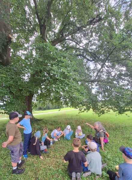 Naturpädagogik Schulprojekttage in Bayern - Jetzt anmelden