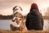 Bindungsfördernder Hundewanderung Kurs - Jetzt anmelden