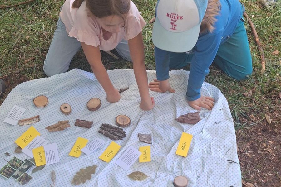 Naturpädagogik Jahresbegleitung für Klassen in Bayern - Jetzt anmelden