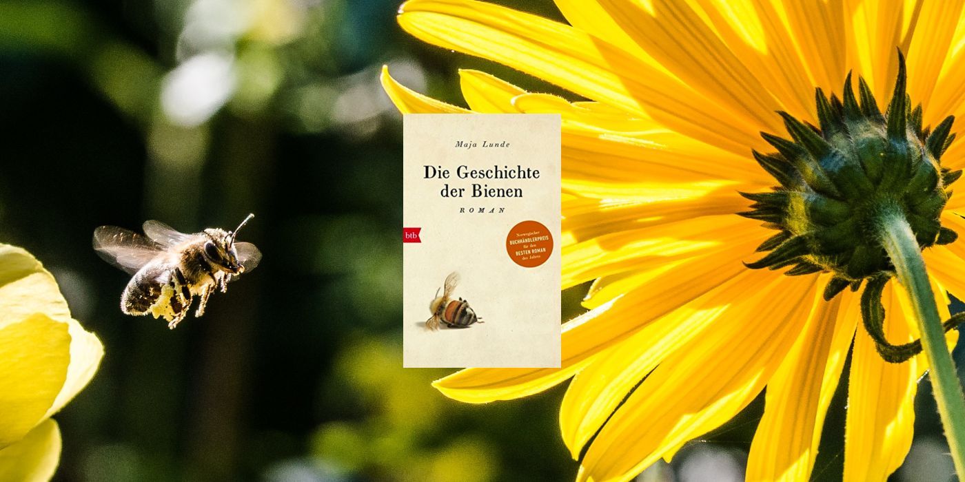 Die Geschichte der Bienen - Buchempfehlung