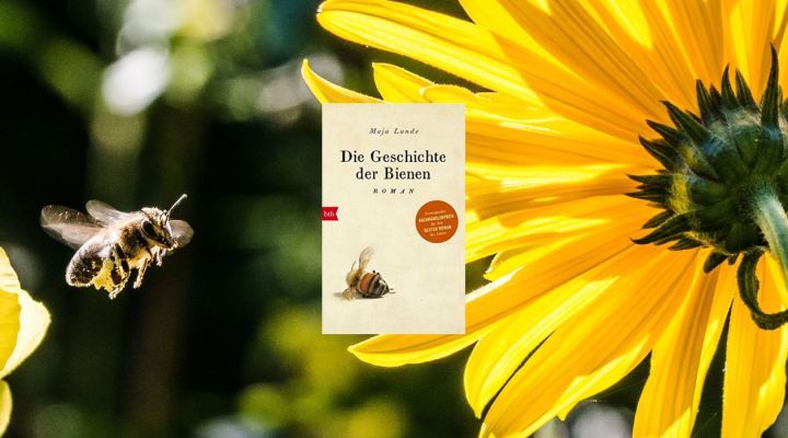 Die Geschichte der Bienen - Buchempfehlung