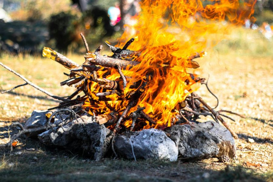 Wildnis Basis Kurs - Wildnisschule Bayern - Jetzt anmelden