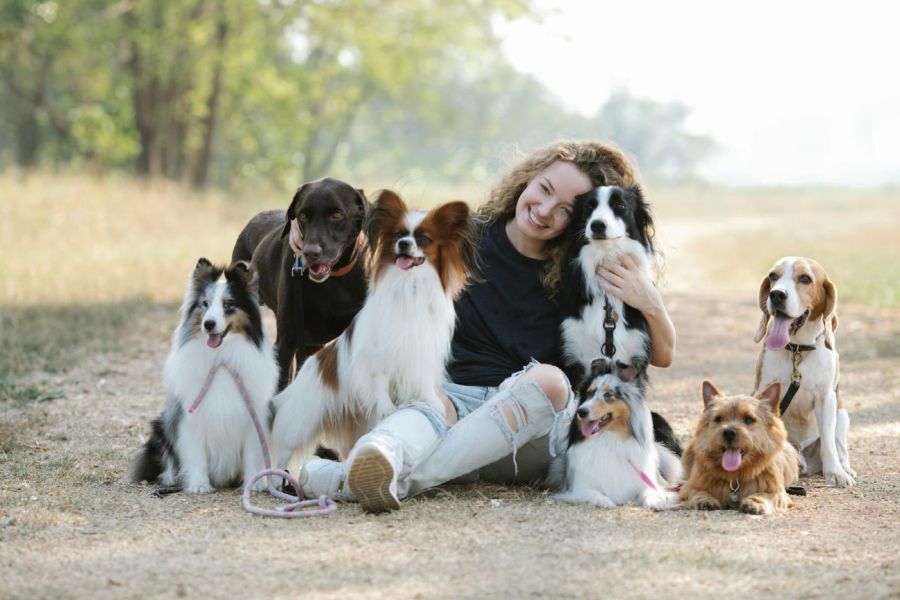 Abenteuer Hund-Mensch-Beziehung Kurs - Jetzt Anmelden