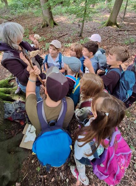 Naturpädagogik Jahresbegleitung für Klassen in Bayern 