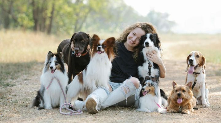 Abenteuer Hund-Mensch-Beziehung Kurs - Jetzt Anmelden