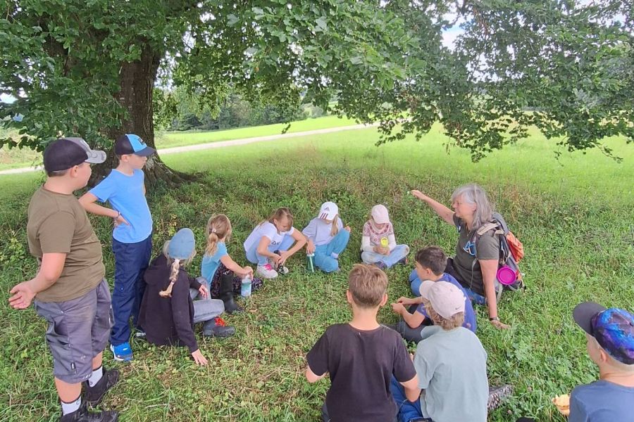 Wildniswiesel Camp für Kinder von 6 – 8 Jahren - Besprechnung