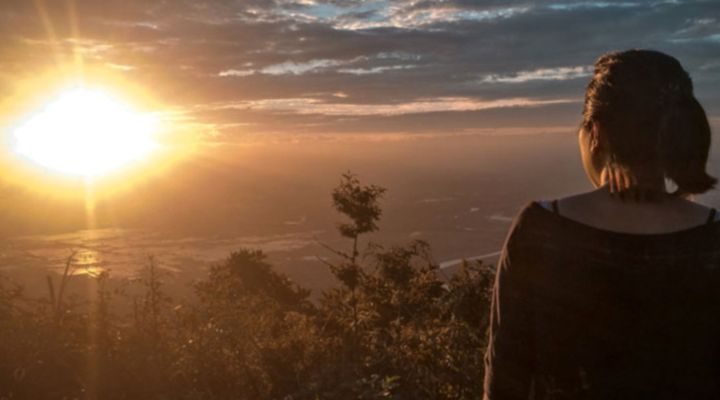 Natur Coaching - Jetzt anmelden