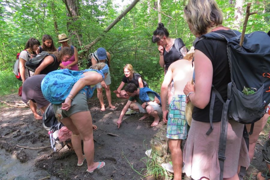 Wildnispädagogik Ausbildung – Lehrer - Wildnisschule Bayern - Schulung