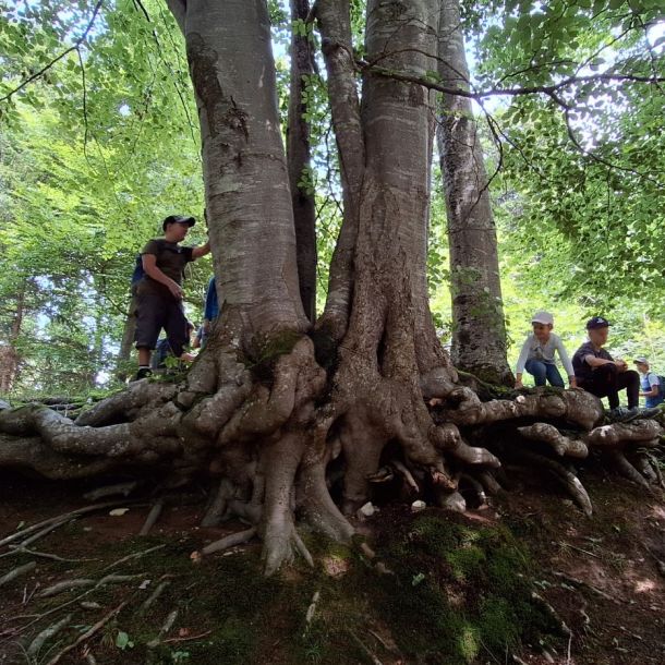 Wildnisschule Bayern - Wir-Kinder der Erde - Naturpädagogik Jahresbegleitung für Klassen in Bayern