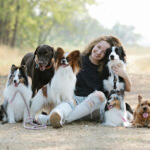 Abenteuer Hund-Mensch-Beziehung Kurs - Jetzt Anmelden