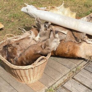 Leder gerben DIY Kurs - Wildnisschule Bayern - Jetzt anmelden