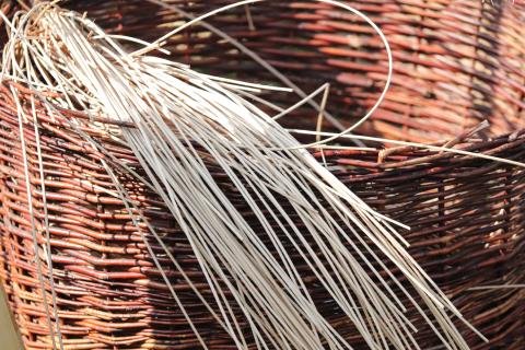 Pflanzen des traditionellen Flechthandwerks