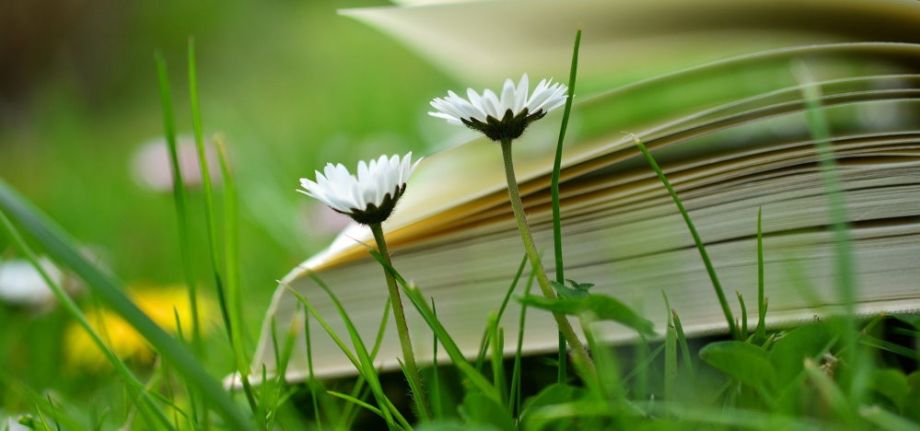 Mentoring: Geheimnisse des Lernens gestern und heute