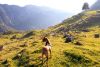 Hund und Umwelt Kurs - Jetzt anmelden