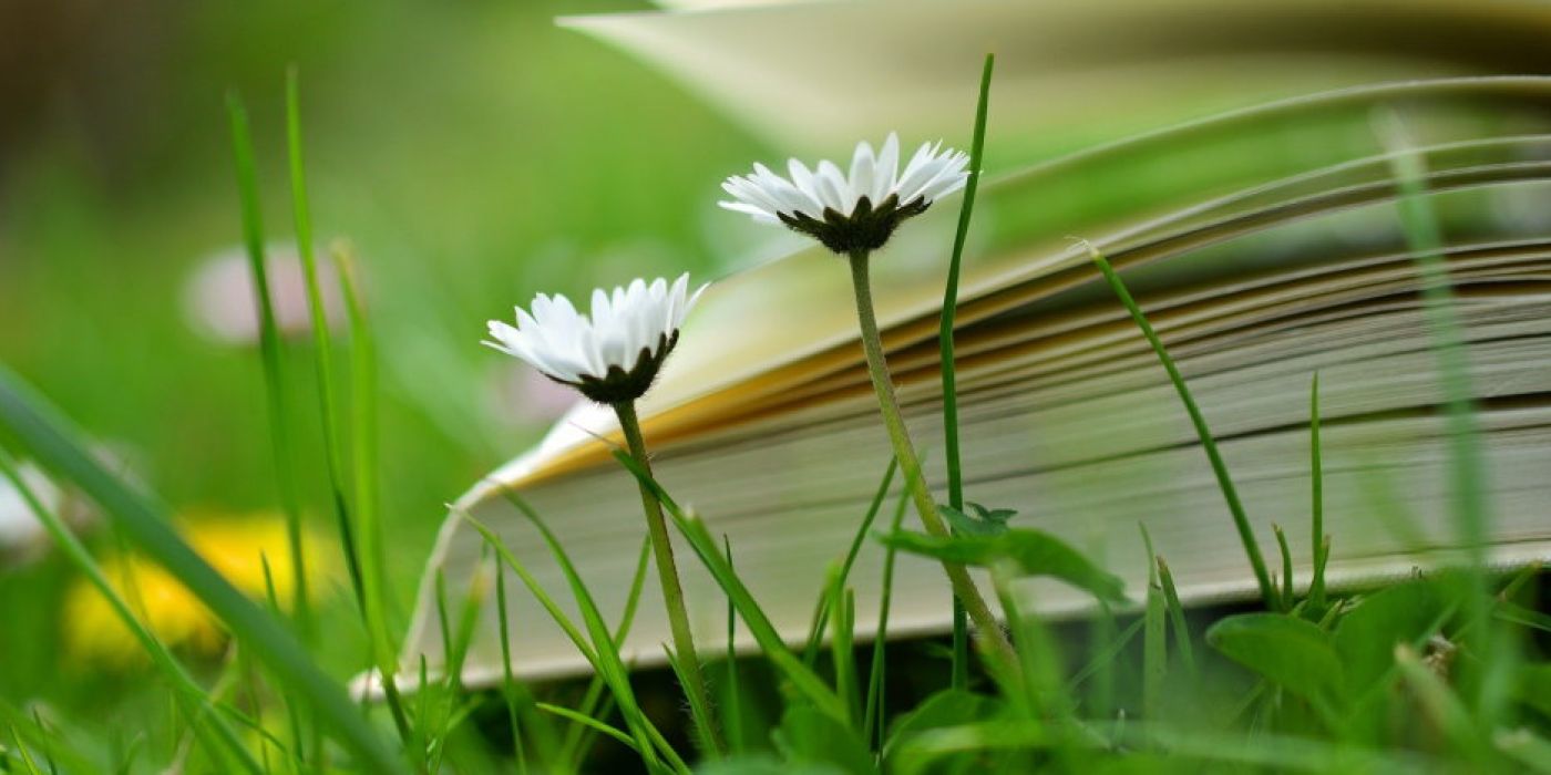 Mentoring: Geheimnisse des Lernens gestern und heute