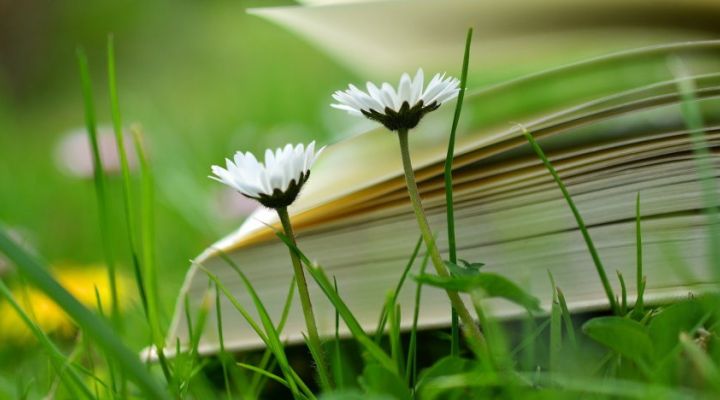 Mentoring: Geheimnisse des Lernens gestern und heute