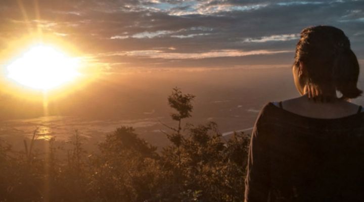 Natur Coaching - Jetzt anmelden