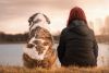 Bindungsfördernder Hundewanderung Kurs - Jetzt anmelden