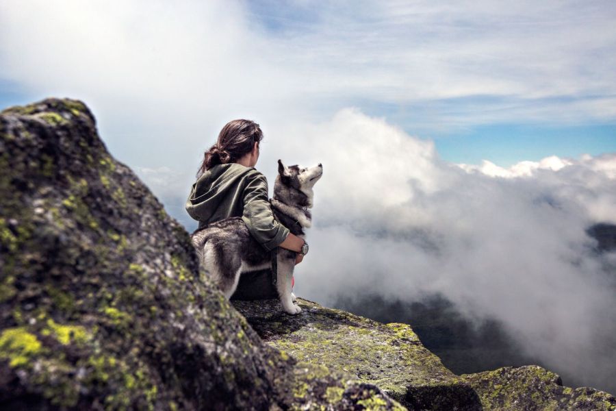 Bindungsfördernder Hundewanderung Kurs - Zur Anmeldung