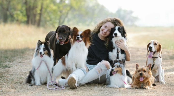 Abenteuer Hund-Mensch-Beziehung Kurs - Jetzt Anmelden